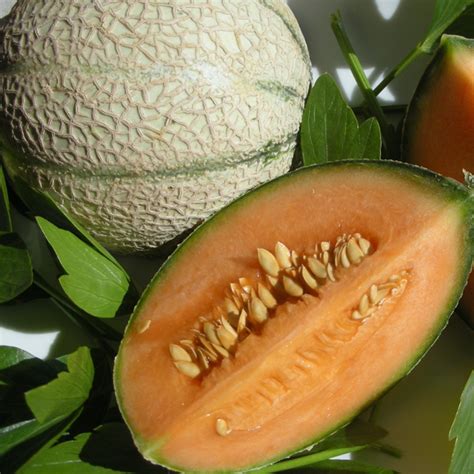 Super Melon 2 .